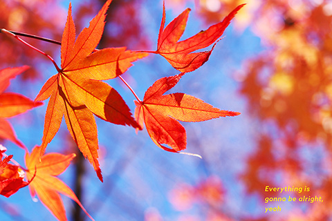 Everything is gonna be alright,yeah