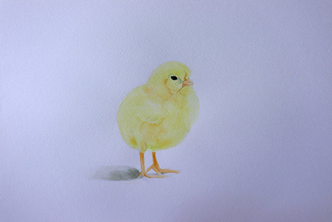 『 ひよこ / 水彩画 』
