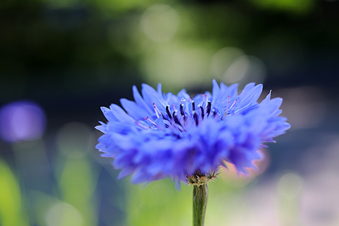 泣いても笑っても。