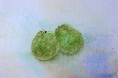 『 ラ・フランス / 水彩画 』